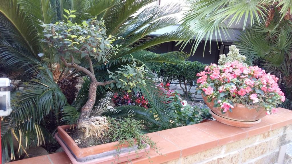 צ'יטה סנט'אנג'לו B&B Mirella מראה חיצוני תמונה